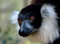 Madagaskar 2008